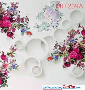 Hào Mỹ - MH 239A